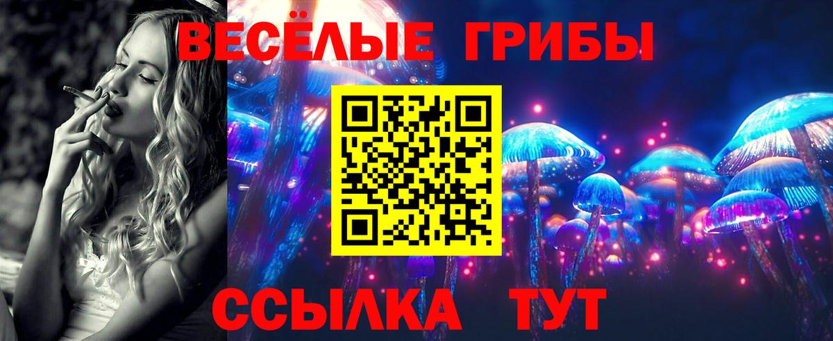 даркнет сайт  Вход с VPN  Коряжма  Псилоцибиновые грибы Magic Shrooms 
